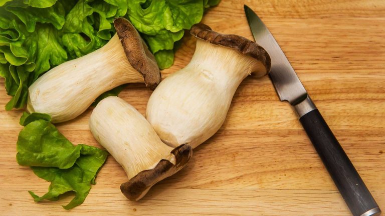 Kral İstiridye Mantarı