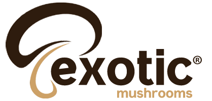 Tıbbi Mantar & Tıbbi Mantarlar